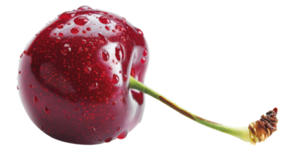 Fresh cherry glistens with droplets after rain in summer light