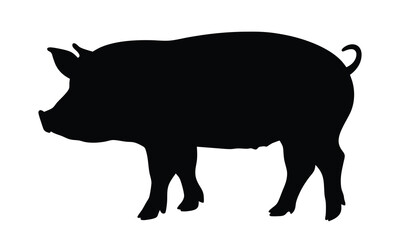 Pig silhouette isolated on a white background