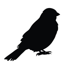 Sparrow bird silhouette illustration isolated on a white background
