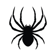 Spider silhouette illustration isolated on a white background