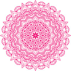 Beautiful flower art and mandala vector design