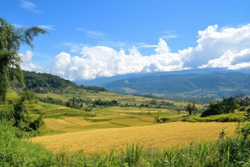 Gentle rolling fields of golden grain blend with fresh green hills creating a harmonious patchwork of colors