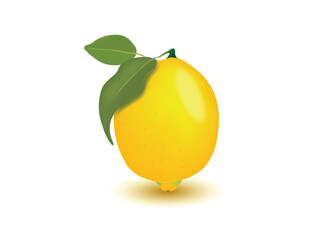 lemon fresh high vector