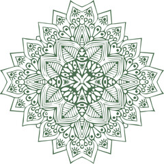 Beautiful flower art and mandala vector design