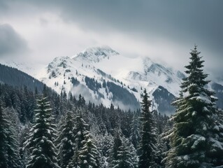 Fototapeta premium Pine trees on snow covered mountain Magical winter forest. Natural landscape with beautiful sky