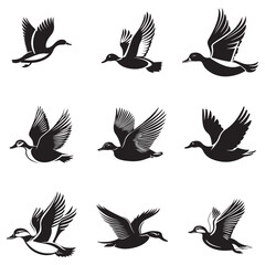 Flying duck set silhouette isolated on white background, Minimal flying duck vector silhouette