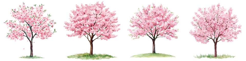 Fototapeta premium Stunning Cherry Blossom Trees in Bloom with Vibrant Pink Flowers and Green Leaves Blossoming in Serene Spring Garden Landscape