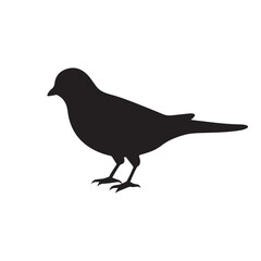 crow bird silhouette vector image
