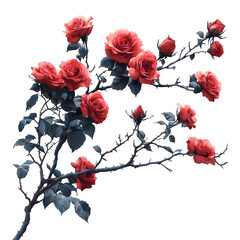 Naklejka premium Red Rose Branch with Blossoms Isolated on Transparent Background