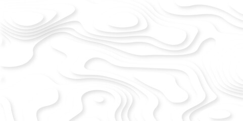 Vector minimal light element shadow landscape wave element curve graphic papercut design. Background with lines Modern black and white carve wave line abstract luxury papercut background.