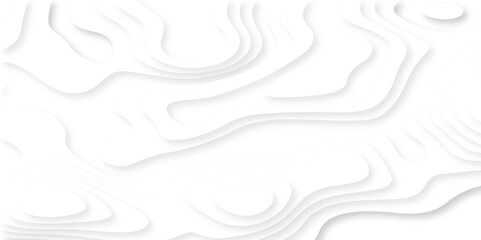 Vector minimal light element shadow landscape wave element curve graphic papercut design. Background with lines Modern black and white carve wave line abstract luxury papercut background.