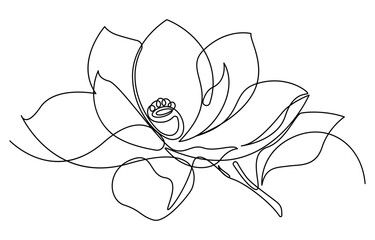 Magnolia flowers continuous line art. Abstract minimal hand drawing sketch. Vector illustration, Flower drawing mono line, Magnolia flowers in one line art style