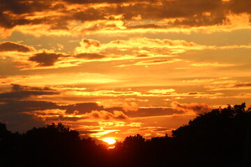 golden sunrise