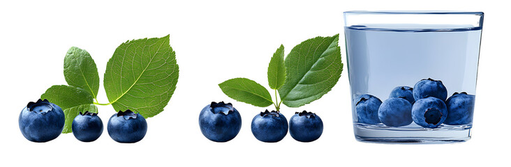 Fresh Blueberries with Leaves Isolated on Transparent Background
