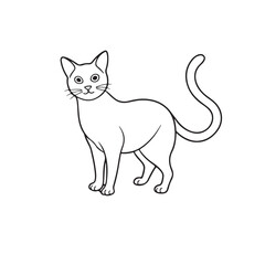 cat line art silhouette vector image