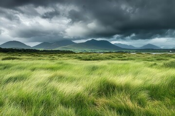 Fototapeta premium Rolling Green Grasslands Under Dramatic Mountainscape