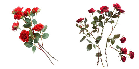 Fototapeta premium Red Roses Bunch Bouquet. Generative AI.