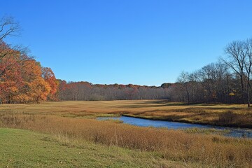 Fototapeta premium Autumnal Stream Flows Through Golden Meadow And Woods