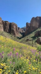 A breathtaking view of colorful wildflowers blooming in the valley surrounded by towering cliffs under a clear blue sky in springtime