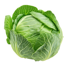 Obraz premium Fresh Cabbage Isolated on White Background for Healthy Cooking and Dieting and Transparent background.