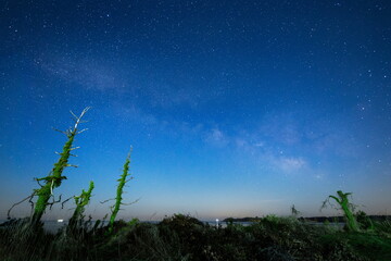 原始の情景を彷彿させる海岸と能登半島の天の川