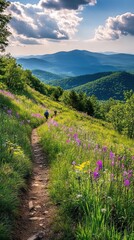 A breathtaking panorama of blooming wildflowers along the Appalachian Trail in early summer, inviting hikers to explore nature's beauty