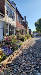 Obraz premium Charming cobblestone street lined with historic homes and vibrant flowers in the picturesque district