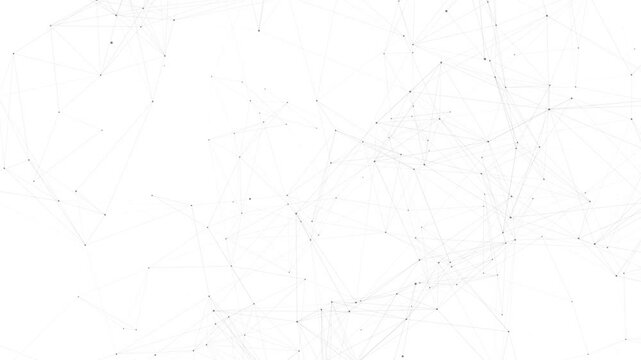 line connect network animation on white background. Line technology data connection and business background	