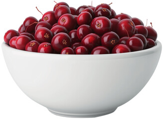 Cranberries in a bowl illustration - Healthy Cranberry juice isolated