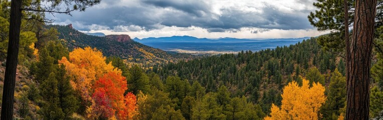 Explore the vibrant autumn colors of Los Alamos forest in New Mexico's serene wilderness