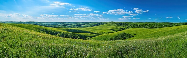 Fototapeta premium Breathtaking view of the rolling hills in Loess Hills with vibrant green fields and wildflowers under a bright blue sky