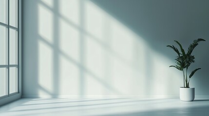 Fototapeta premium Bright and minimalistic interior with soft shadows and a potted plant near a large window