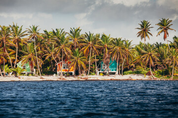 Island shacks in Belize with palm trees.