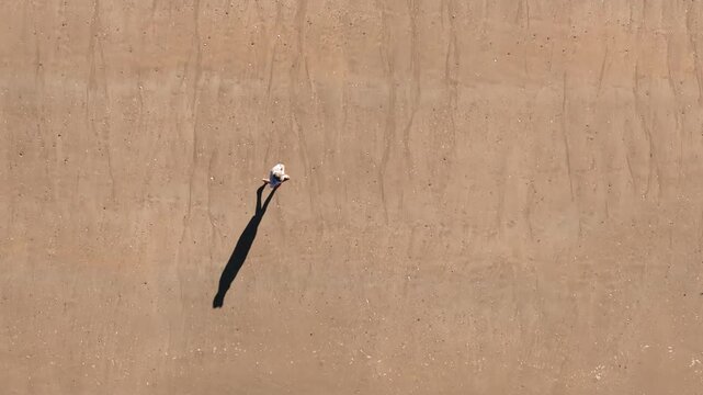 Person Walking On Sandy Beach