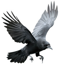 Fototapeta premium A dark, majestic bird with outstretched wings and detailed feathers, poised in mid-flight, showcasing its impressive anatomy.