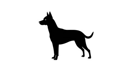 Pet Dog Icon symbol Black Silhouette isolated background