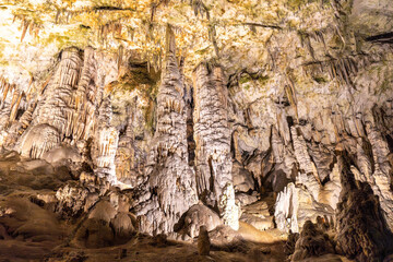 Stalactites and stalagmites rising from the ground in postojna cave, slovenia
