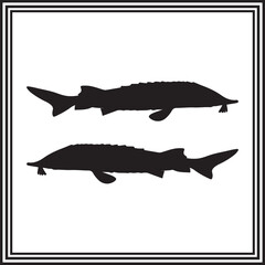 Sturgeon fish icon isolated vector, silhouette of ocean animal.