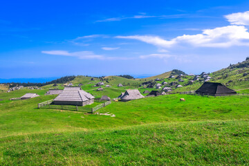 Traditional wooden houses dotting the lush green landscape of velika planina, slovenia