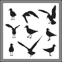Silhouette set of seagull vector illustration on white background.