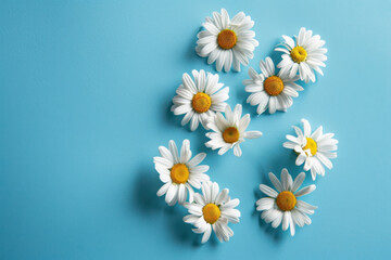 Number 8 formed by daisies on a blue background, celebrating March 8th, soft natural light.
