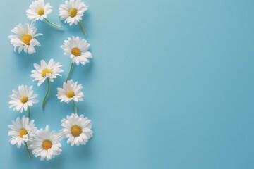 Fototapeta premium Number 8 formed by daisies on a blue background, celebrating March 8th, soft natural light.
