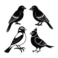 Four Black Birds Vector Illustration