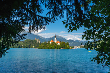 Lake bled island church framed by trees on sunny summer day