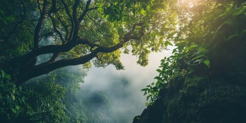 Obraz premium Nature travel photography captures the breathtaking beauty of the natural world. Explore the art of nature travel photography to inspire your adventures and evoke a sense of wanderlust through nature.