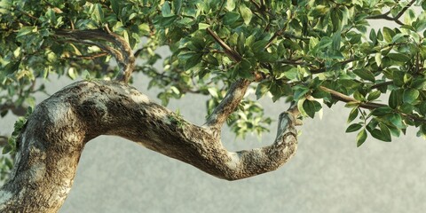 Naklejka premium Kariyat tree, also known as Andrographis paniculata, showcases its unique features in this detailed image. Discover the fascinating traits of the Kariyat tree in this captivating visual.