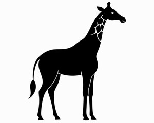 Silhouette of a Giraffe Standing Gracefully in Profile