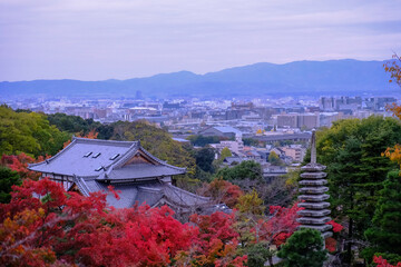 view of the city from the top of the mountain