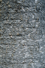 Bark