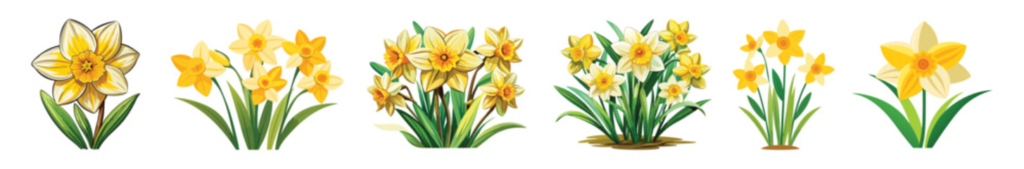 daffodil flower vector art, floral vector, set of beautiful flowers, simple colorful illustration of daffodil flower 